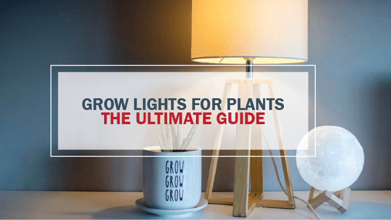grow lights for plants