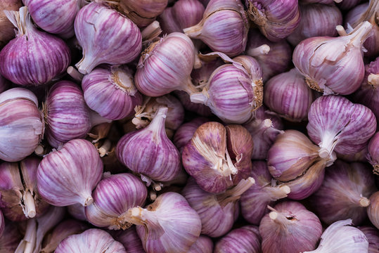 Purple garlic vs white garlic, both are great in their own way