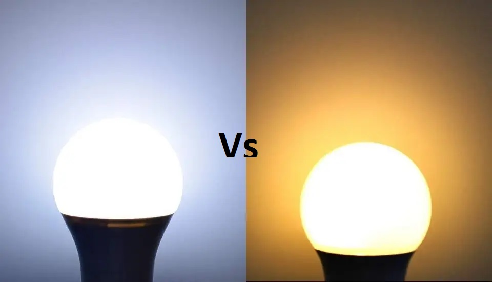 Soft White vs Daylight Bulbs